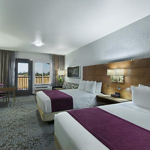 Queen Suite