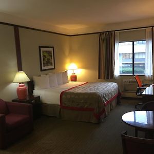 King Room Disability Access