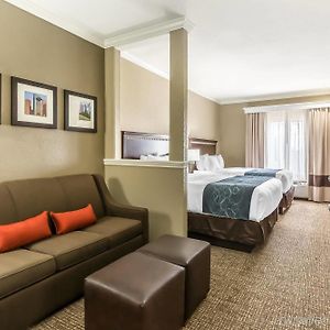 Queen Suite