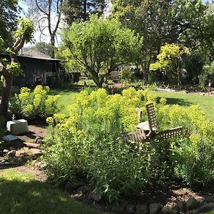Trailside Inn Bed And Breakfast
