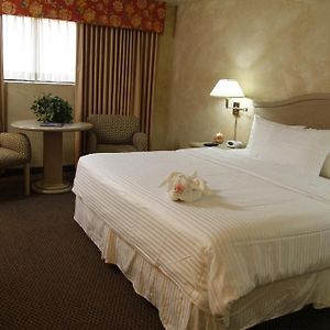 Double Room Mobility accessible