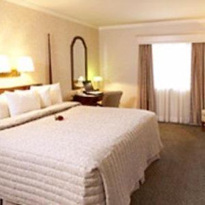 Executive King Room