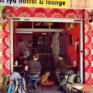 Chillout Lya Hostel & Lounge