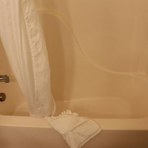 Queen Suite