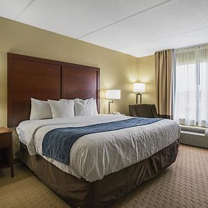 King Room Disability Access