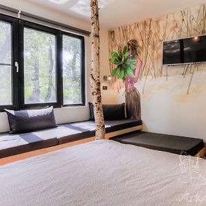 Dormitory Room Mixed