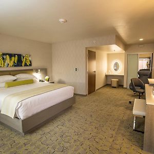King Room Disability Access