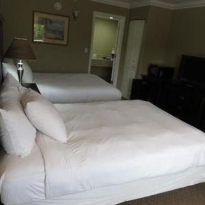 Double Room Two Double Beds Non-Smoking