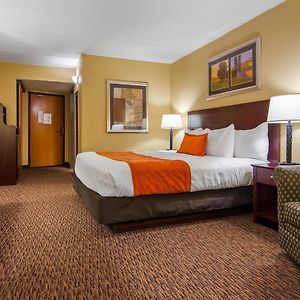 King Room Roll Shower Mobility Accessible