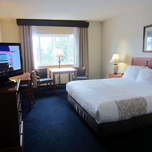 King Room Disability Access