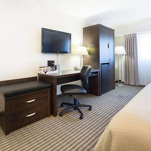 Pool Side Queen Room