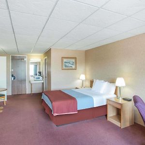 Queen Suite