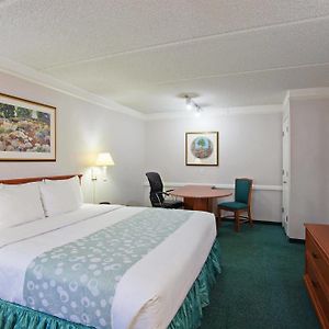 Premium One-Bedroom King Suite