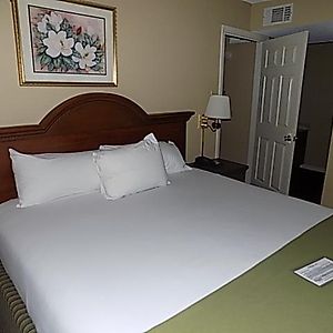 Two-Bedroom King Suite