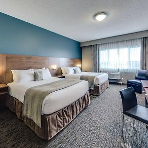 Executive Queen Room