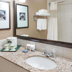 Family King Suite