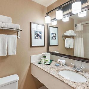 One-Bedroom King Suite