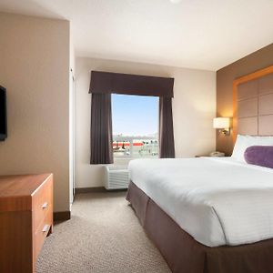 Standard King Suite