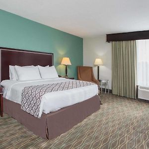 King Room Disability Access