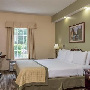 King Room Disability Access