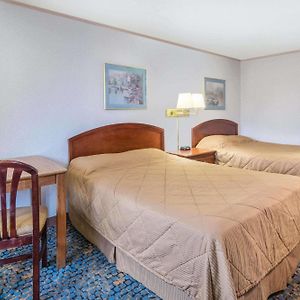 Deluxe Queen Room Two Queen Beds