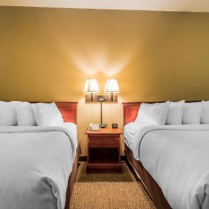 Queen Suite
