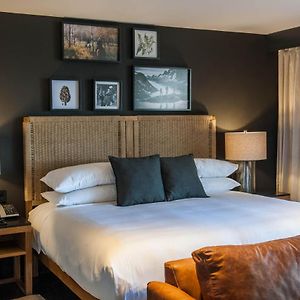 Superior King Suite