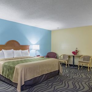 King Room Disability Access