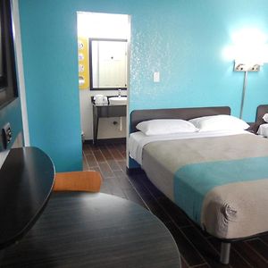 Deluxe Quadruple Room Non-Smoking