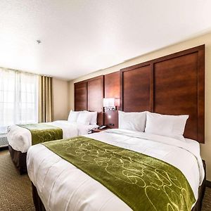 Queen Suite