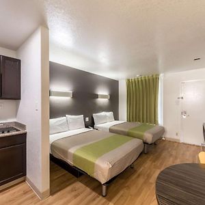 Standard Queen Suite
