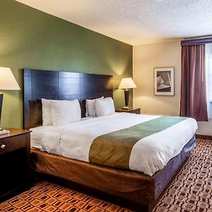 King Suite Disability Access