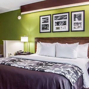 One-Bedroom King Suite