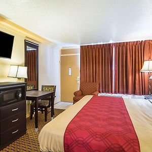King Room Disability Access