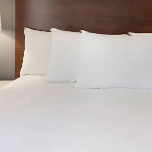Executive Plus Queen Room