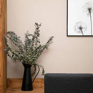 Budget King Room