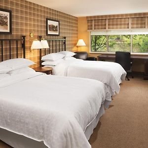 Club Level Guest Room