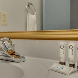 Single Room Disability Access