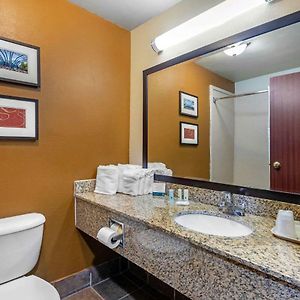 Queen Suite