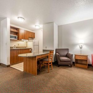 Studio Suite