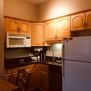 Junior Studio Suite