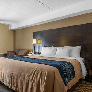 Ground Floor King Room