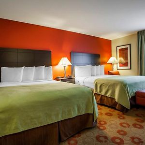 Queen Suite