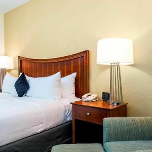 King Room Disability Access