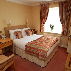 Cozy Double Room