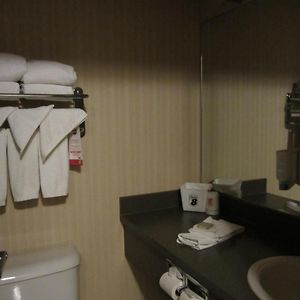 Studio Suite