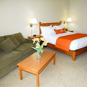 Quality Inn & Suites Amsterdam