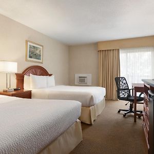 Standard Queen Room