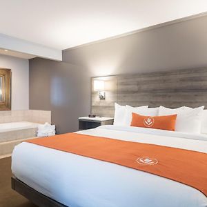 Honeymoon Suite