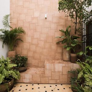 Casa Montore By Barrio Mexico